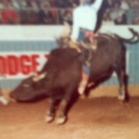 Lonnie Austin