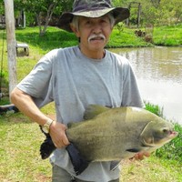 Mario Kiyoshi Kikuti