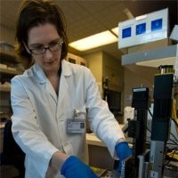 Ashley A. Powell PhD