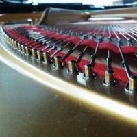 Luis Felipe Serrano Petísco