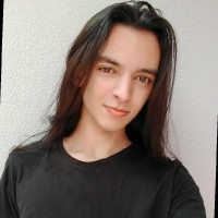 Bruno Vinicius Santos Caldeef