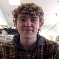 Kade T