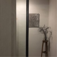 黄启迪