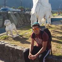 Diego Antonio Pacheco Celis