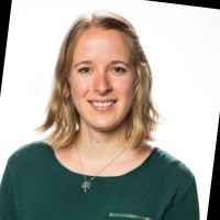 Judith De Vries, Phd