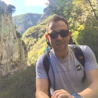 DAVID FAUX CEng MICE RoGEP