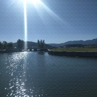赵永学