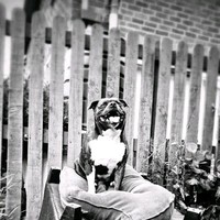 Claire Blackmore