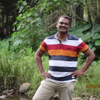 Raghunathan S