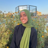 Rawan Ghalban