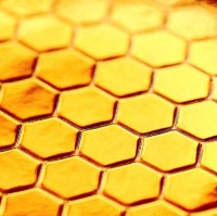 Євгенія Хайлвел