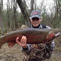 Bob Koepsell