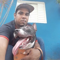 Will Sales