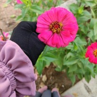 منه وليد عابدين