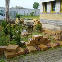 Vegetalia Fiori recisi