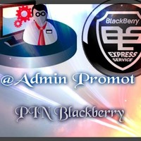 Promot Pin Blackberry