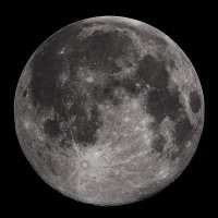Test Test