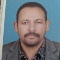 Sameh Hamouda