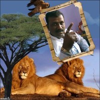 Rajan Maknikar