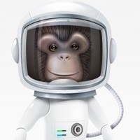SEO Monkey