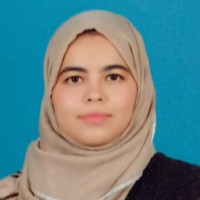 Naureen Salim