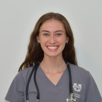 Abbie Rich