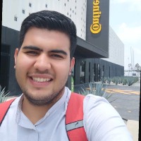 EDUARDO DAVID FLORES GUERRERO
