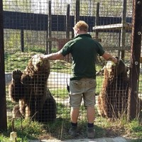 Nicky Canning-Battye