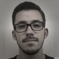 Romain Goupil