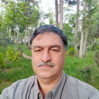Hossein Rajabi