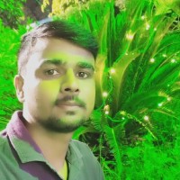 Abhay Pratap Saini
