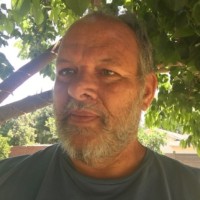 David Willis