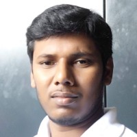 Panneerselvam P