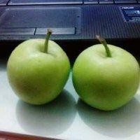 陈青萍
