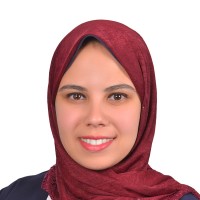 Menna Essa Salem