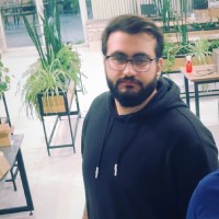 Mohammad Mehdi Rajabi