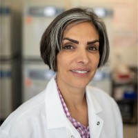 Fatemeh Ahmadi