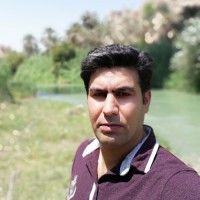 Ali Bohlool
