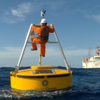 MARCELO ROCHA TOFFOLI