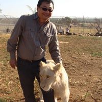 Edson Suguiura
