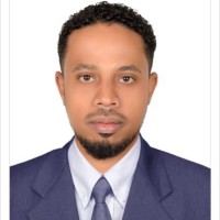 Hesham Adly Mohamed Ahmed