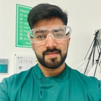 Ameer Hamza