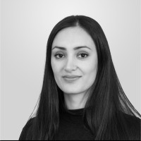 Sharmin Hosseini Yilmaz