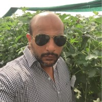 Rahul Gokhale