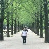 Trang Doan