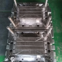 Lily (plastic injection mould)
