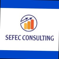 Sefec Consulting