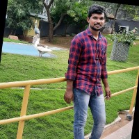 Ashok Babu Rayala