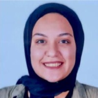 Noha Hamdi