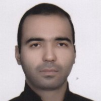Sayed Mojtaba Hosseini